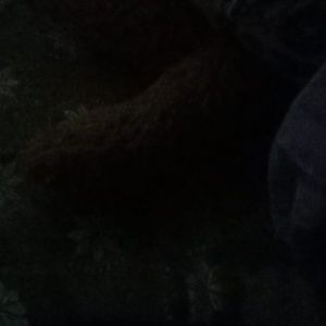 Meet your Posher, Akhtar